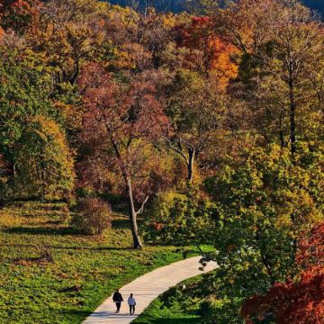 【东北赏秋】长春四方顶+吊水壶一日游，观火山红叶，赏云海古树