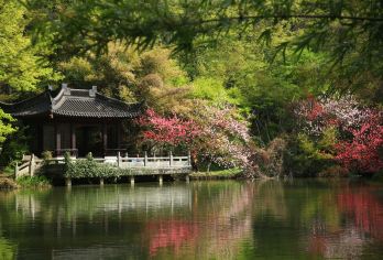 栖霞山赏秋一日游【专属客服，全程贴心护航】