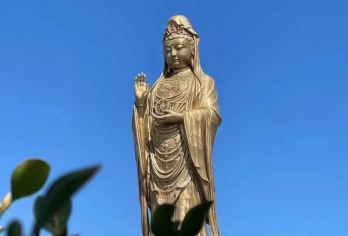 普陀山门票+往返船票+导游服务【舟山普陀山风景区一日游】拼团【[精心安排]天天发团。祈福、许愿、还愿必到精华景点。精选祈福专线导游带领讲解陪同！】