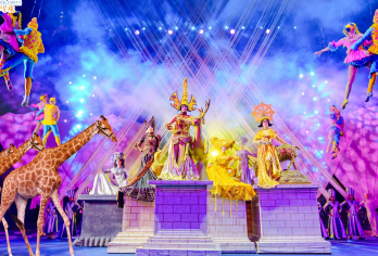 【广州亲子游】长隆野生动物世界+广州长隆国际大马戏【全天包车8H服务，行程自由可调整】