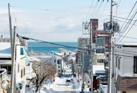 日本小樽/旭川/美瑛/富良野/洞爷湖/登别-札幌往返任选一日【专属客服和本地中文司机，一家一团包车】