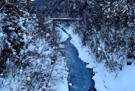 日本札幌往返+旭山动物园+白须瀑布+七星之树+青池/私家包车【专属客服和本地中文司机，一家一团包车】