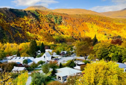 【中文司导包车游】皇后镇+奥拉基/库克山国家公园+塔斯曼冰川【中文司机+酒店接送+贴心管家[畅游80+国家，800+城市]】