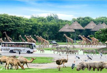 曼谷野生动物园+海洋公园一日游 可选自助餐/酒店接送【曼谷赛瑞福野生动物园的海洋公园】