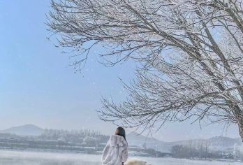 吉林市小雾凇岛 万科滑雪一日游【私人定制小包团】【纯玩小包团，时间自由，行程自由。】