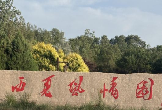 银川西夏陵国家考古遗址公园+览山公园+玉皇阁一日游英文服务【探秘西夏王朝，登临览山观霞，漫步玉皇古阁。】