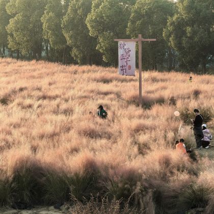 【花季课堂·园艺美学】武汉花博汇自然美育与园艺实践研学半日营