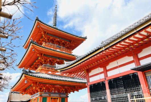 日本京都奈良一日游|清水寺|伏见稻荷大社|奈良公园|抹茶体验【1清水寺，稻荷大社，奈良公园一天内访问日本关西经典景点】