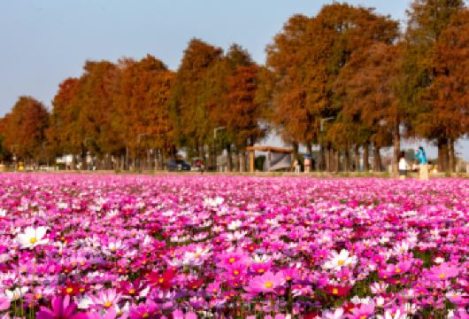 中山詹园+孙中山故居+崖口村+孙文西路一日|私家小团上门接送【私家旅行：一单一团，不拼客，专属旅行； 品质服务：5/7座车车上门接送，专职司机护航】