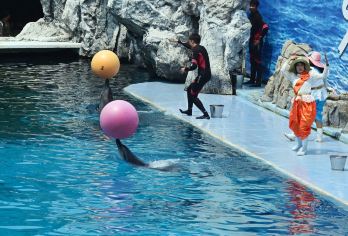 曼谷野生动物世界全日探索（套餐门票 + 私人接送）【专享直达：提供曼谷酒店与乐园之间的无忧私人往返接送服务，无需拼车共享巴士。 全天自由行：****自助体验。自主规划行程，按个人节奏探索。 自助午餐包含在内：可在园区指定餐厅享用便捷的国际与泰式自助午餐。】