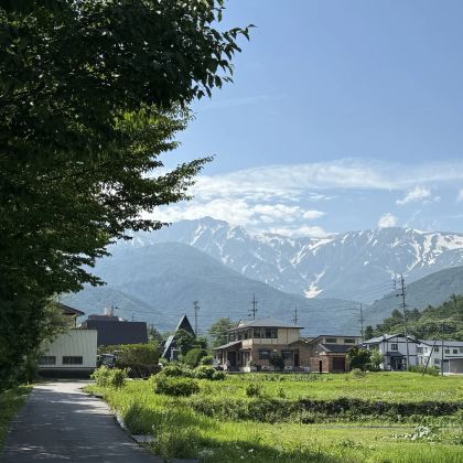 长野一日游｜白马村-户隐神社-松本城（不含门票）