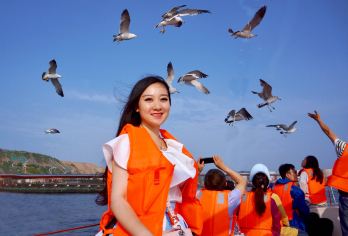 大连环城环海一日游【2-6人小团|可下午出发|赏浪漫夜景】【[创新玩法]反向环海环城游，有效避开95%人群，告别排队，深度游玩。更有体验拍照超美的小众景点。】