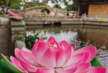 普陀山一日游自由行【往返大巴车+往返船+普陀山门票任选】【[省心省力] 车船我们会提前预留，不用自行排队购买.】