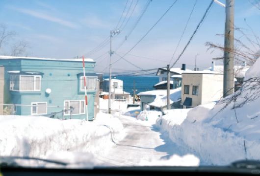 日本札幌-小樽八音盒朝里等/可登别富良野北海道多日包车-精选【包车一日游，解锁旅行新方式！独立车辆配备经验丰富的老司机，为您量身打造专属行程。】