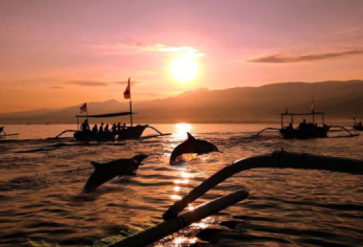 巴厘岛自然与健康之旅：海豚、火山和温泉【在神奇的日出游船上观看野生海豚在海面上翩翩起舞，宁静的心灵与美丽的景色完美融合，在群山环绕、富含矿物质的温暖泳池中恢复活力】