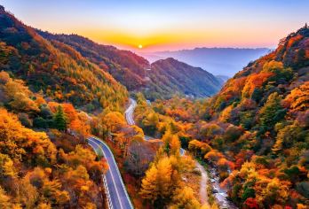 汉中+米仓山国家森林公园1日游（含门票+往返观光车）【车辆15%空座率，严选安全舒适车辆，优秀当地老司机，熟悉路况，安全驾驶，服务态度好，真诚待客。】