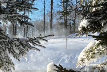 长白山北坡景区+长白山聚龙火山温泉+瀑布【延吉出发包车1日】【延吉起止，纯玩无购物，拒绝旅游套路，司导途中介绍旅行攻略】