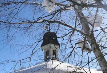 日本北海道+旭川动物园+旭山寺一日游/行程可调-可定制多日【包车一日游，解锁旅行新方式！独立车辆配备经验丰富的老司机，为您量身打造专属行程。】