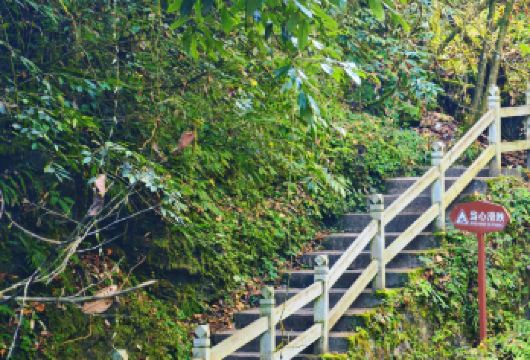 四川德阳神瀑沟+三星堆博物馆包车一日游可中英文服务【神瀑沟纳凉寻幽，三星堆访古探秘，一日穿梭千年。】