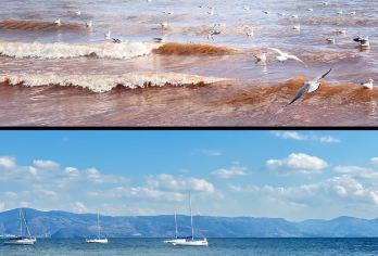 抚仙湖风景区包车1日游（赠送滇池海梗大坝或斗南花市二选一） 【专业服务：从事旅游行业10余年的领队兼司机带队，驾龄10年以上】