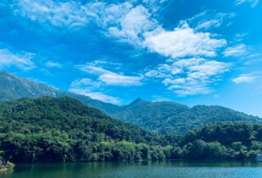 惠州罗浮山风景名胜区+徐田古村一日游【私家小团+上门接送】【私家旅行：一单一团，不拼客，专属旅行； 品质服务：5座/7座车上门接送，专职司机护航】