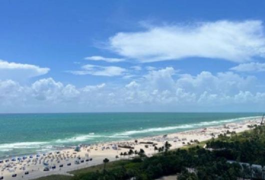 美国+迈阿密小哈瓦那+温尼伍德墙一日游/行程可调-可定制【包车一日游，解锁旅行新方式！独立车辆配备经验丰富的老司机，为您量身打造专属行程。】