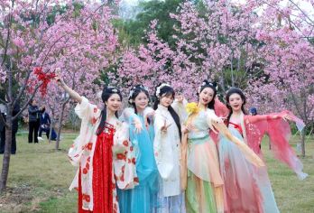 肇庆七星岩+鼎湖山+古城墙+踏青赏花一日游【私家包团含门票】【私家旅行：一单一团，不拼客，专属旅行； 品质服务：5座/7座车上门接送，专职司机护航】