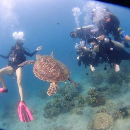 八打雁阿尼劳体验深潜【马尼拉周边潜水一日游】