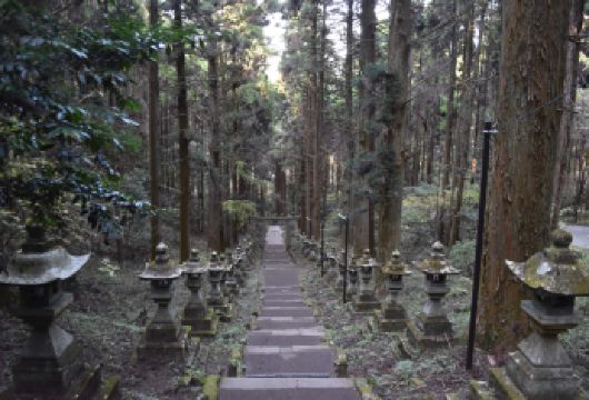 日本熊本阿苏火山+草千里+高千穗峡一日游｜游轮码头/酒店接送【精选热门景点，高效游玩不走回头路，深度了解文化内涵，贴心服务保障，轻松享受旅程，性价比超高的旅行。】