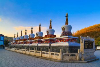 西宁+塔尔寺+青藏高原野生动物园1日-真纯玩|无套路|服务好【私密/自由/猎新/慢节奏，早晨出发时间晚，景区游览时间充足，旅途行程自由，给您一天深度休闲体验之旅。】