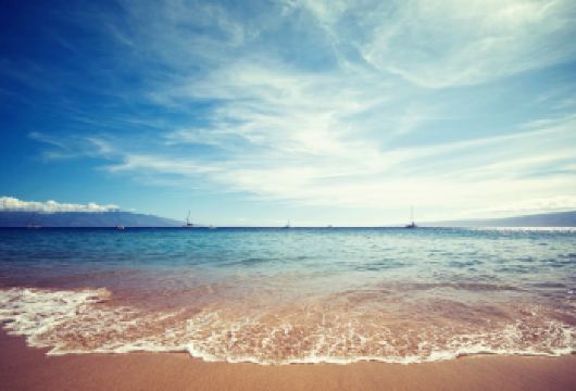 普陀山一日游【纯玩许愿还愿静心之旅.甄选路线一站式服务】【[专业团队]专职导游全程陪同“佛”系讲解.纯玩静心游，】