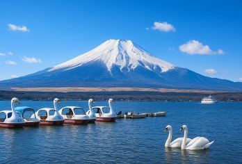 东京富士山河口湖+山中湖一日游【可选KaBa|9人精品小团】【[9人精品小团]人少事少，可选酒店上门接送，中文司机，无需担心语言不通】