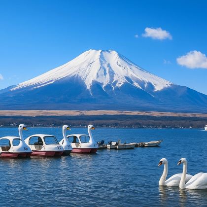 东京富士山河口湖+山中湖一日游【可选KaBa|9人精品小团】