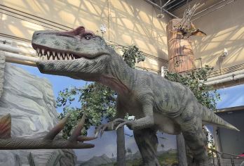 国家自然博物馆一日游-口碑服务-12人小团-上帝密码精品研学【1、让孩子深入了解自然构造、生物的演化。】