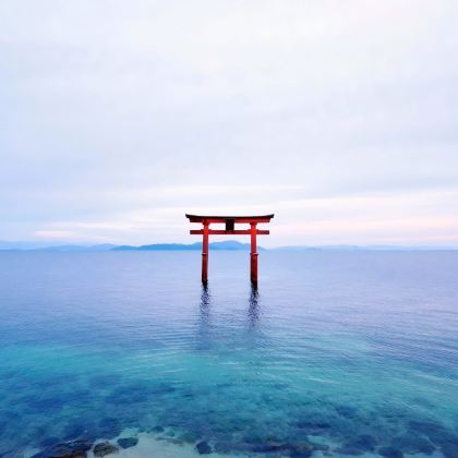 琵琶湖白须神社+三千院+满月堂浮御堂+近江八幡一日游