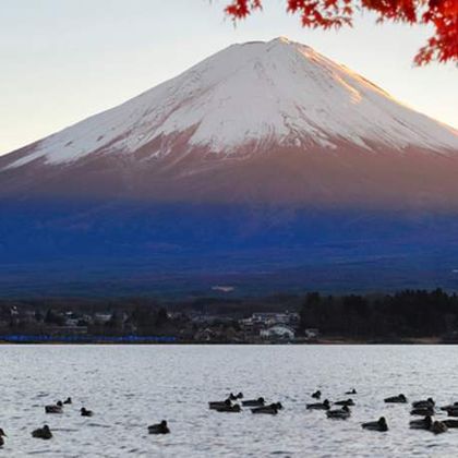 日本东京富士山+Photo Spot（富士山）一日游