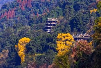 头等舱2+1保姆车、都江堰景区、青城山一日游【观古堰往事—都江堰、登道家仙山—青城山、快耍慢活】