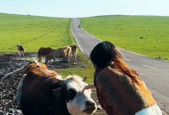 呼和浩特+红石崖国家生态公园+敕勒川草原一日游【空中草原】【好评司导服务，24H管家保障全程，出行无忧，亲子家庭优选。】