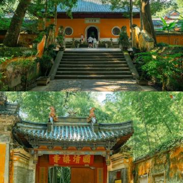 天台国清寺人工讲解服务【纯玩无购物 拼团讲解】