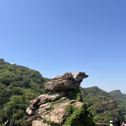 连云港连岛景区+在海一方公园+老街包车一日游-可英文服务