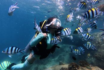 亚龙湾潜水一日游：远海潜水 + 摩托艇 + 香蕉船，赠全面镜【水质清透能见度高，近距离邂逅珊瑚群、热带鱼等海洋生物，远海深潜更可探索神秘海底景观，带来震撼视觉体验】