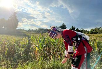 【彝族特色餐】昆明石林九乡一日游【游览荫翠峡、惊魂峡、雄狮大厅、仙人洞、雌雄瀑、神田、彝家寨、地下倒石林、九乡旅游索道。】
