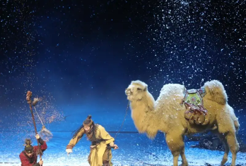 西安长恨歌/驼铃传奇/千古情/演出半日游【三环内专车接送】【2人起订、代订门票、快速出票、时间场次可选、自由行】