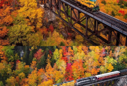 美国波士顿白山国家森林公园一日游【波士顿白山】