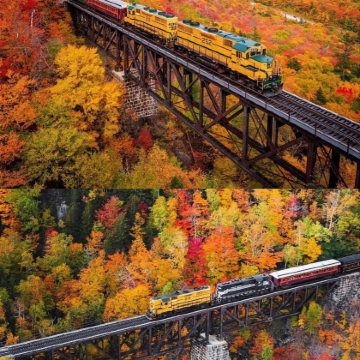 美国波士顿白山国家森林公园一日游