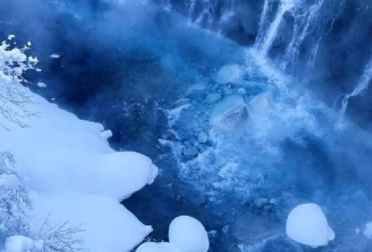 日本北海道+旭川动物园+旭山寺一日游/行程可调-可定制多日【包车一日游，解锁旅行新方式！独立车辆配备经验丰富的老司机，为您量身打造专属行程。】