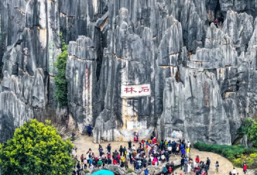 石林半日游【昆明出发往返 含门票+午餐】【天天发团，纯玩无购物，随车导游讲解】