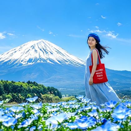 富士山包车一日游【富士山全景|酒店接送|行程景点可定制】