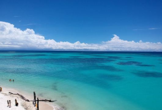 环滩岛浮潜一日游包含午餐【跳入清澈的海水中观赏丰富的海洋生物，沿着环滩岛的白色沙滩漫步！】