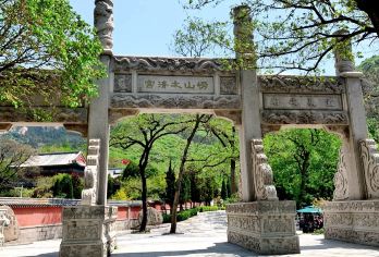 崂山风景区一日游【纯玩无购物、沉浸式漫游】【『暖心体验』纯玩无购物 行程全透明 清晨不早起 市区上门接】